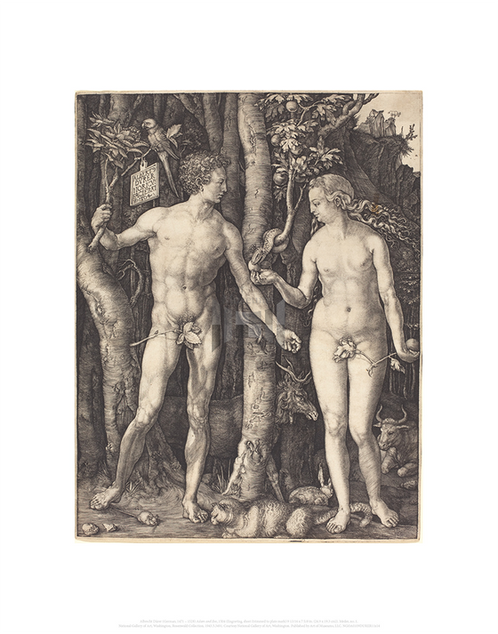 Adam and Eve, Albrecht Durer